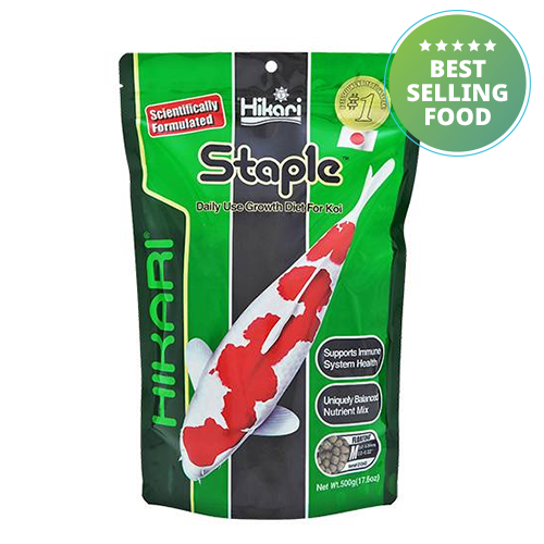 Hikari Staple (Medium Pellet)