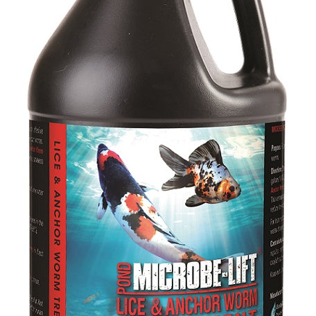 Lice & Anchor Worm