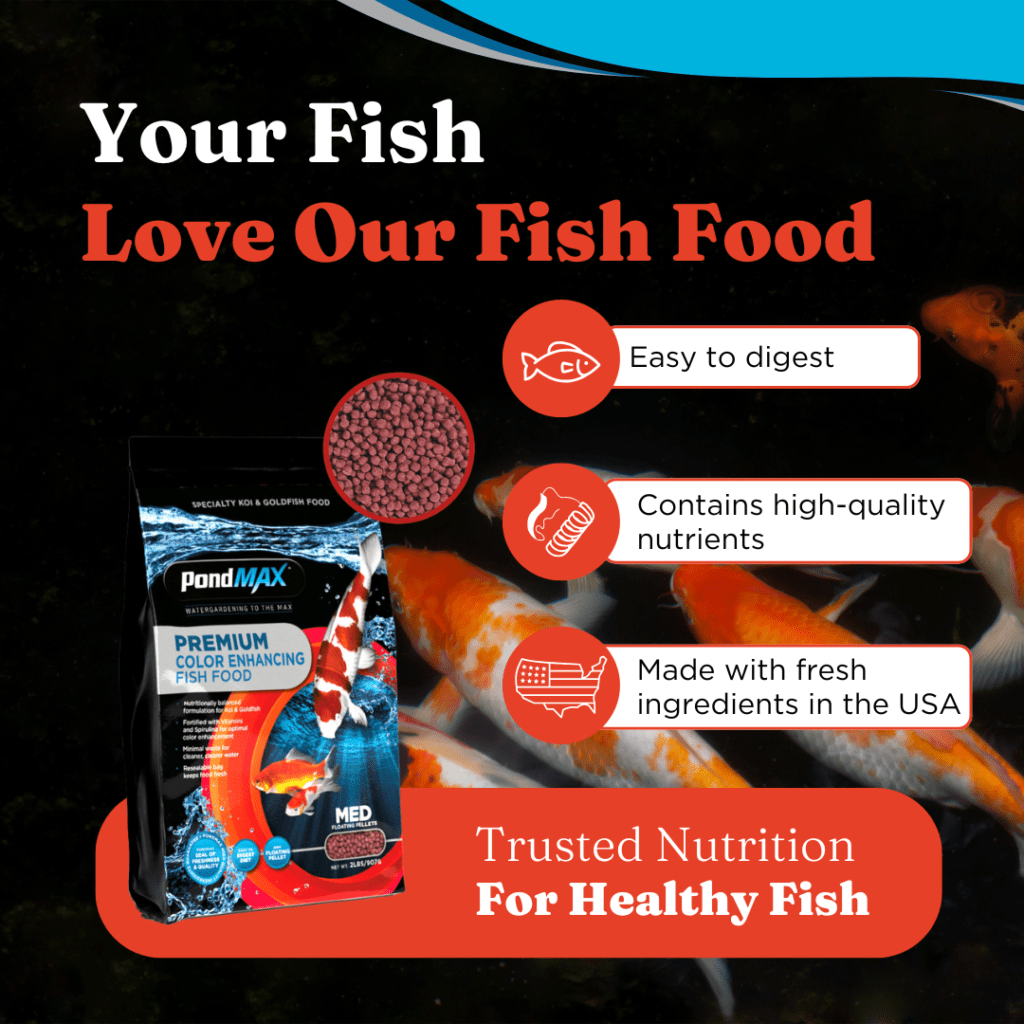Color Enhancing Fish Food