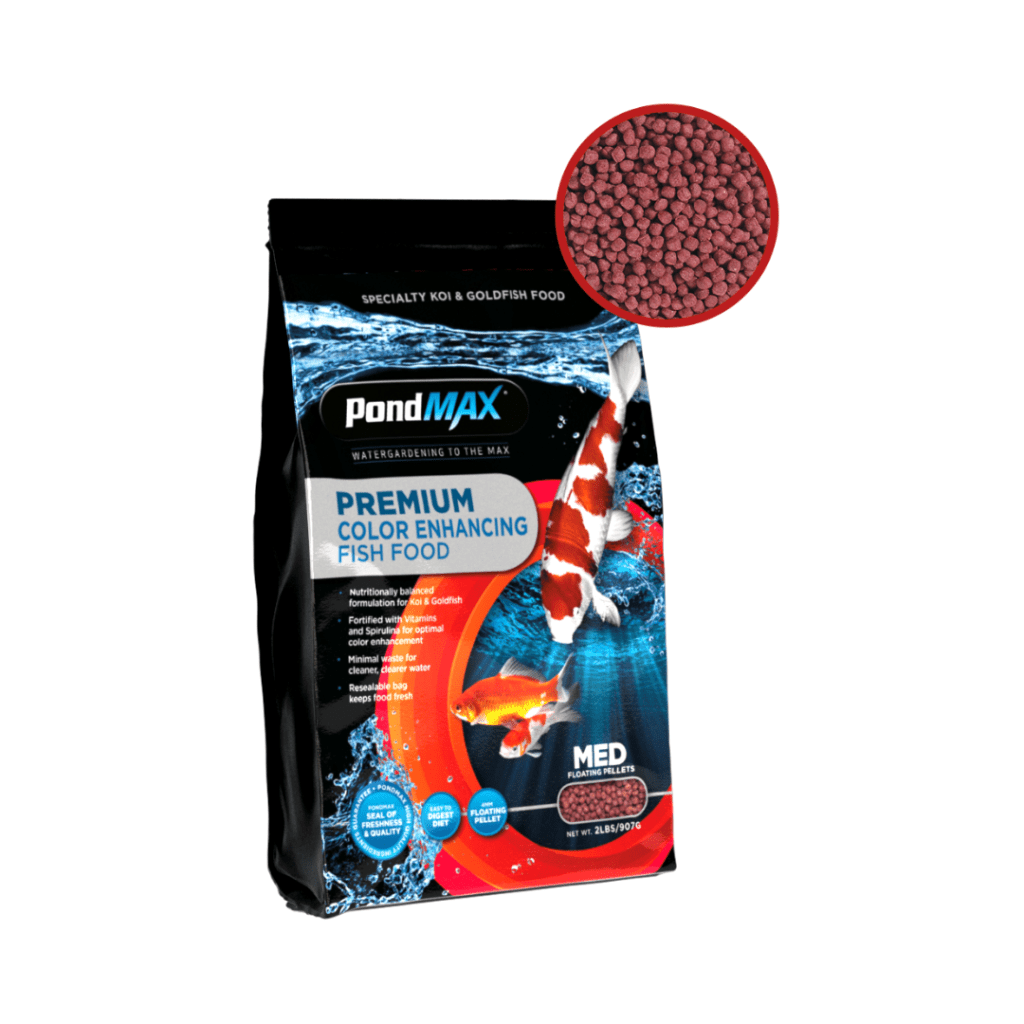 Color Enhancing Fish Food