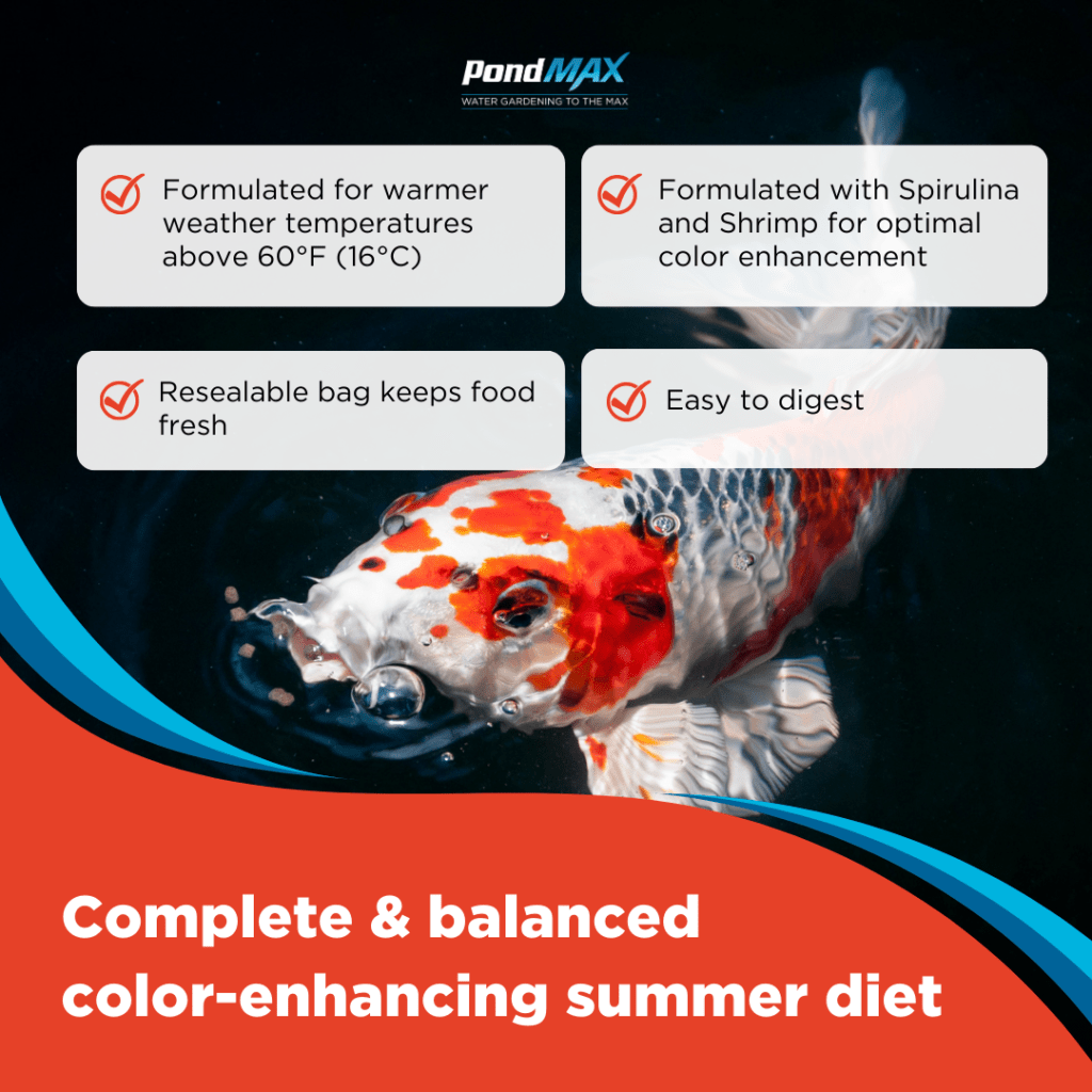 Color Enhancing Fish Food