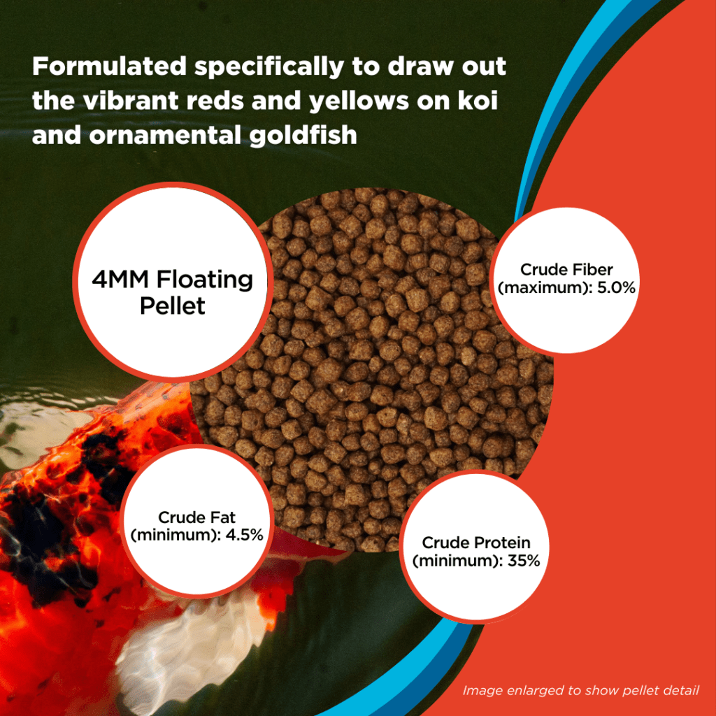 Color Enhancing Fish Food