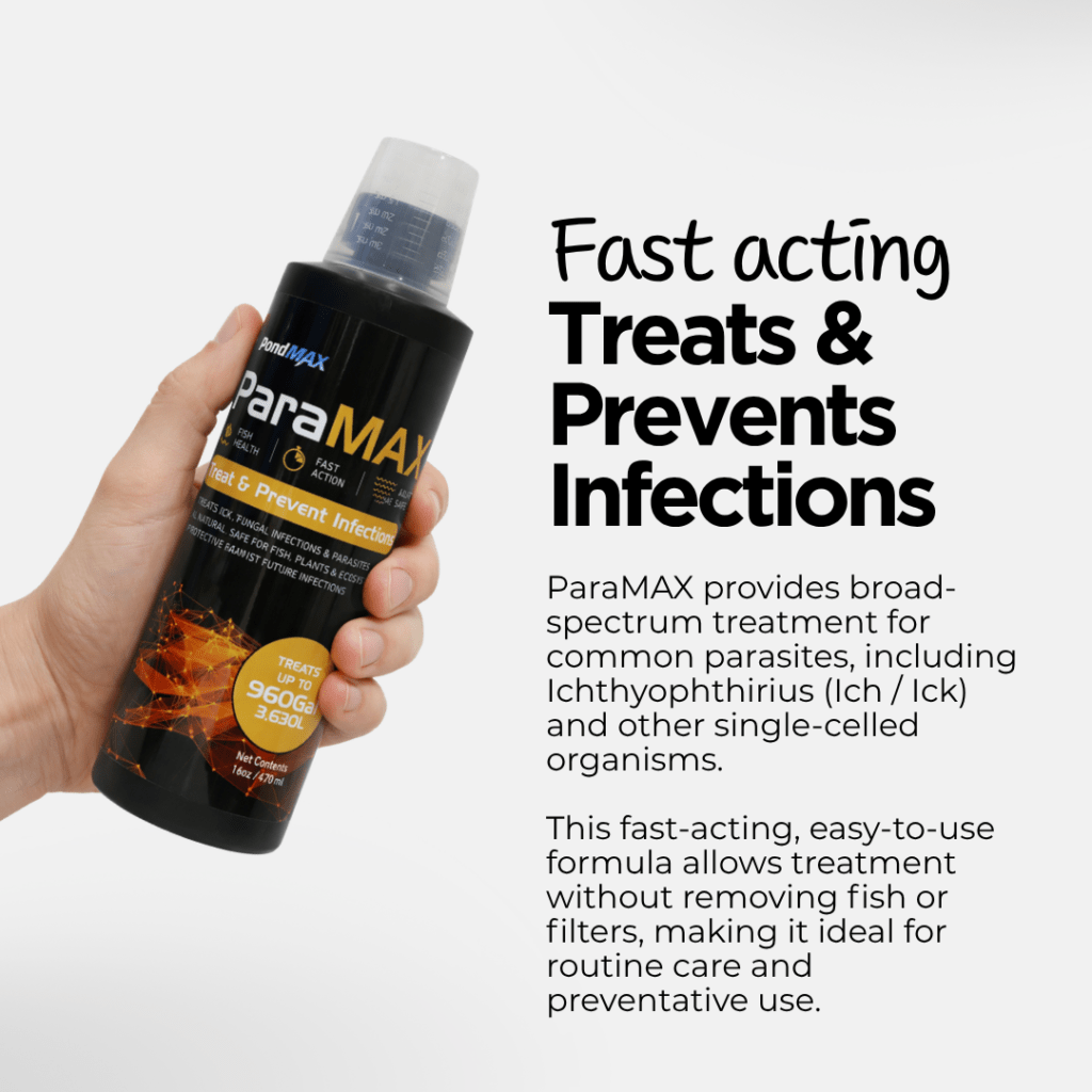 ParaMAX, Treat & Prevent Infections