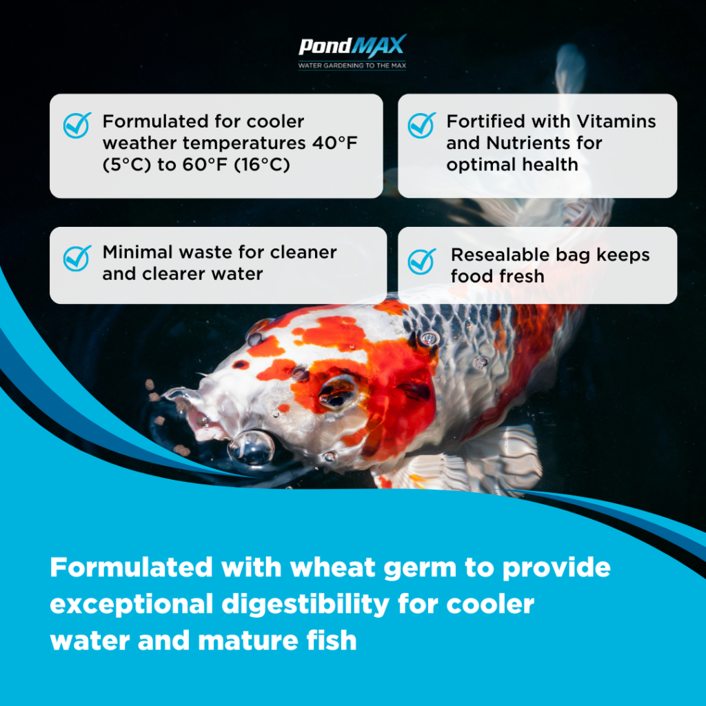Spring & Fall Wheat Germ Fish Food