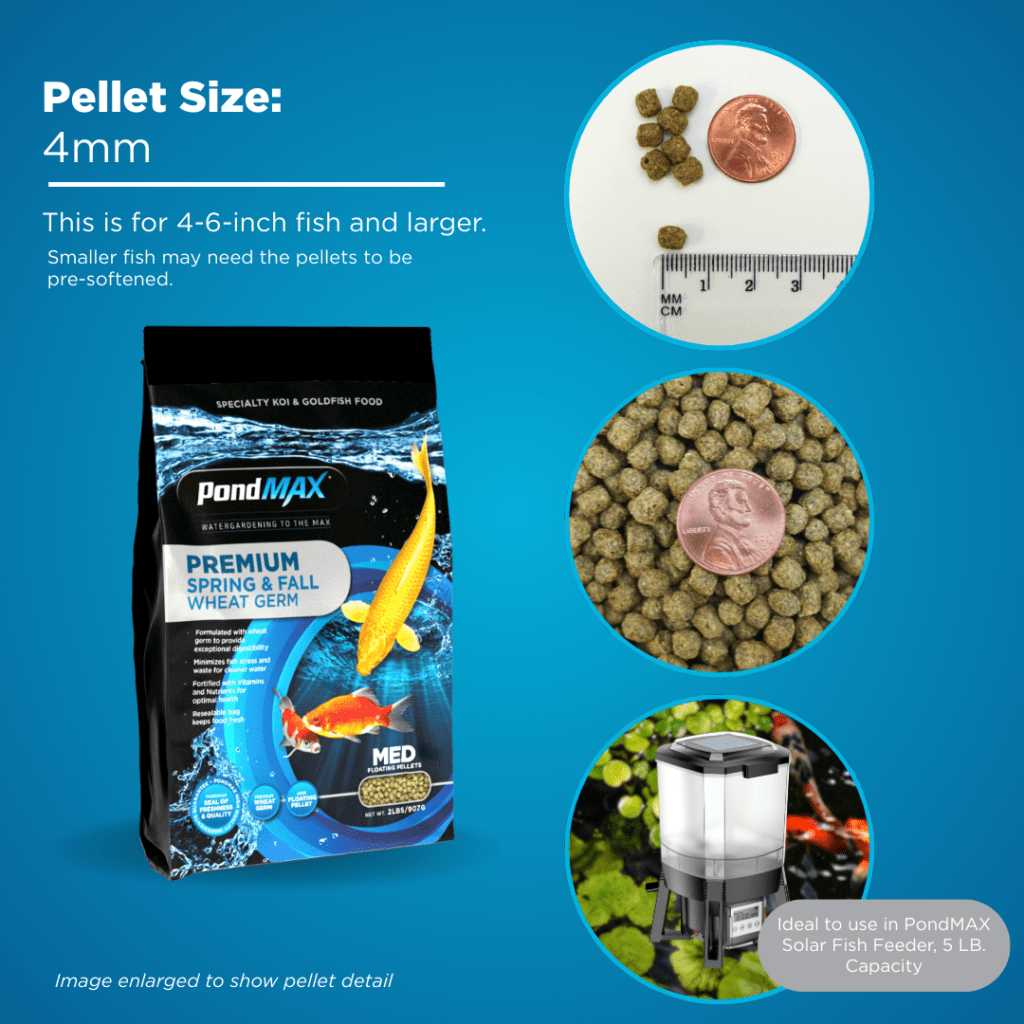 Spring & Fall Wheat Germ Fish Food