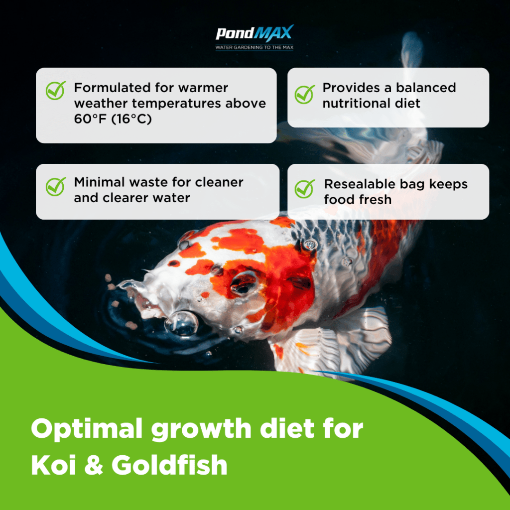 PondMax Staple Growth Fish Food