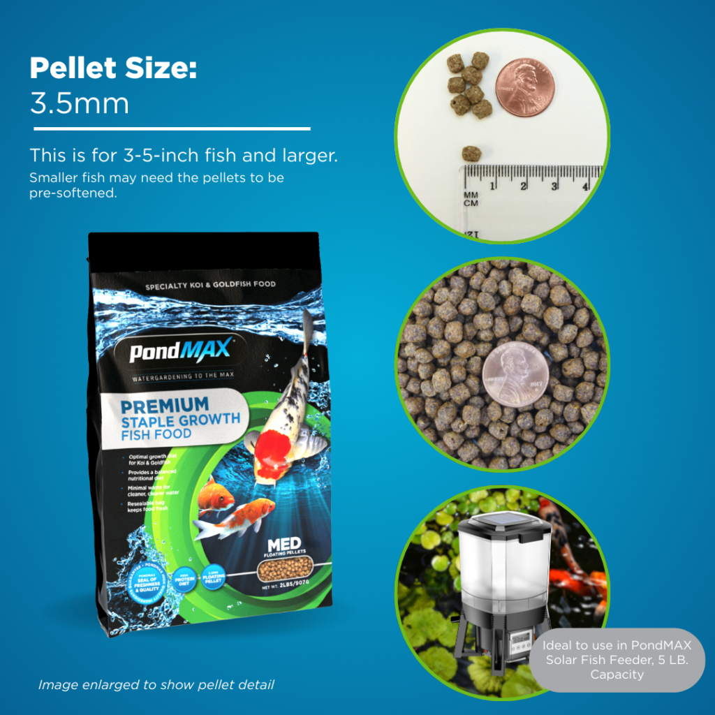 PondMax Staple Growth Fish Food