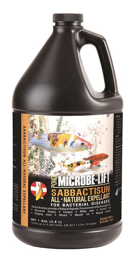 Sabbactisun