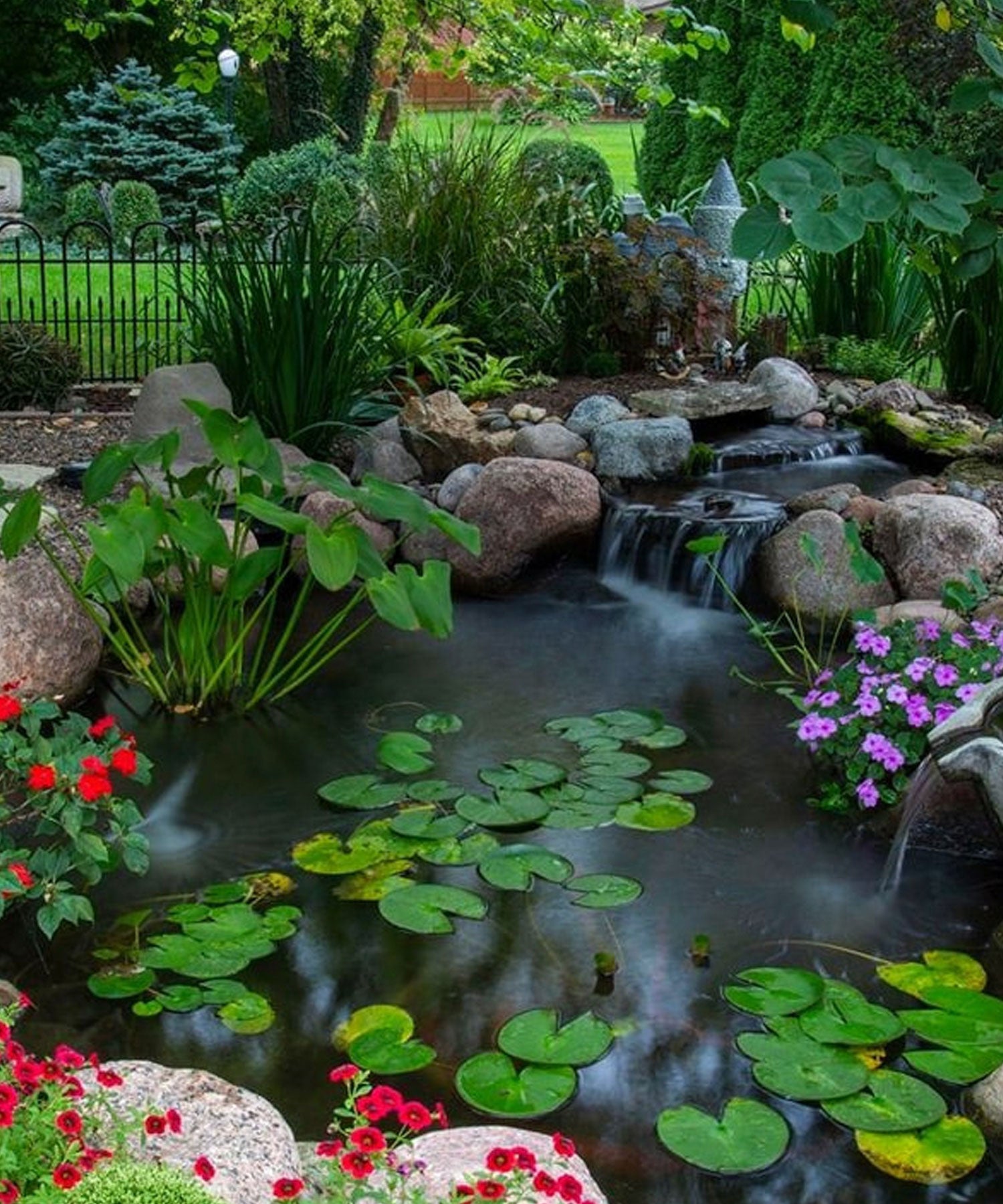 Submerged Plants