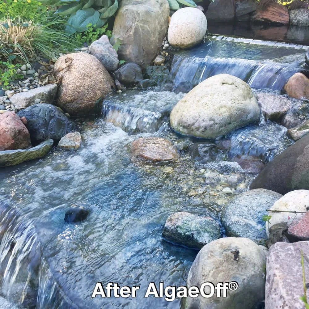 CrystalClear AlgaeOff