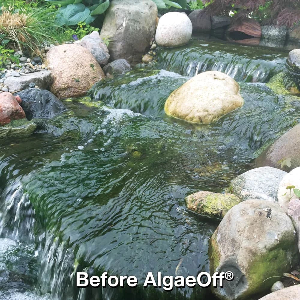 CrystalClear AlgaeOff