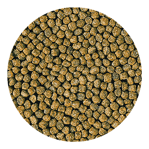 Goldfish Staple™