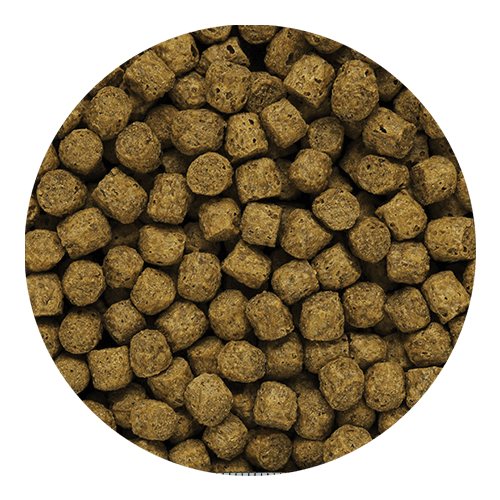 Silkworm Selects™