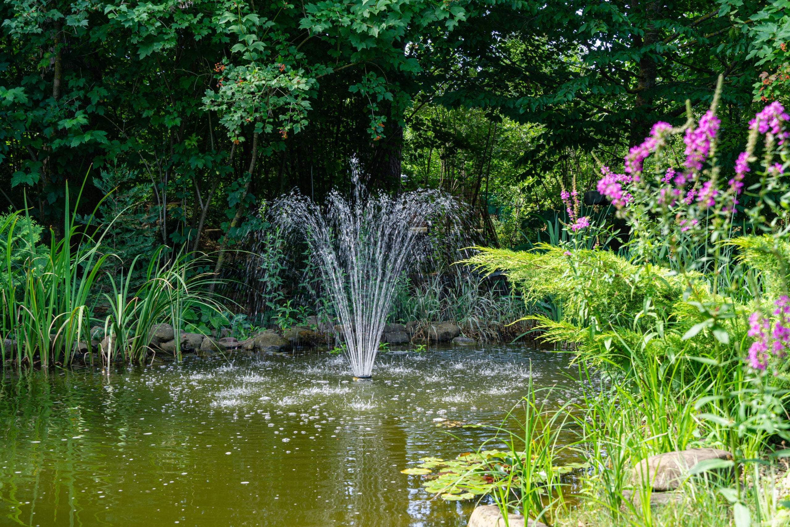 Fountain & Waterfall Kits